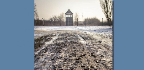 Auschwitz-Birkenau: una visión en 35 mm